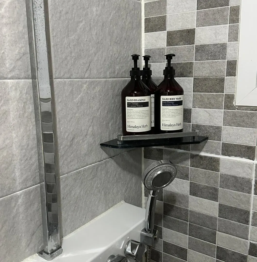 הוילה סיאול Hongdae T House